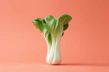 Detailed view of leafy bok choy vegetable against a pink backdrop, A minimalist design featuring bok choy as the focal point - obrazy, fototapety, plakaty