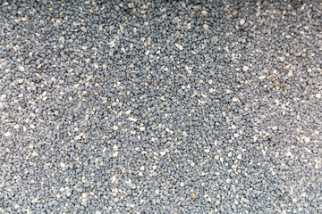 Cat litter granules close up. The texture of granular toilet filler. Cat litter in granules box. active carbon. texture pattern. Clean Cat litter in a litter tray. Background of white bentonite fresh 
