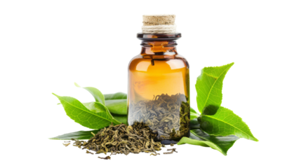 oil with rosemary isolated dicut PNG on transparent or white background cut out, copy space 