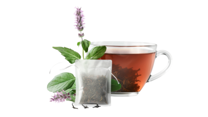 cup of tea isolated dicut PNG on transparent or white background cut out, copy space 