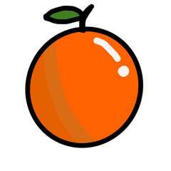 orange fruit vector illustration