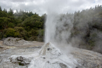 New Zealand Geyser
