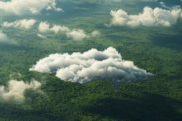 Aerial view of a cloud hovering over a dense forest below, creating a striking contrast of nature, A patch of clouds shaped like an animal, floating serenely by