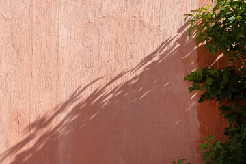 terracotta background with shadow overlay