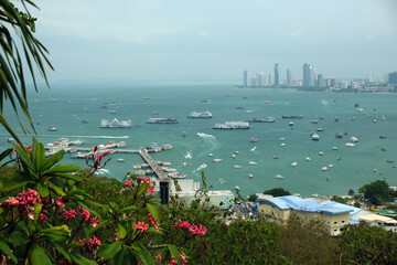 panorama of the sea and coast of Pattaya and flowers in the foreground, Thailand