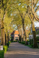 Nes auf der Insel Ameland