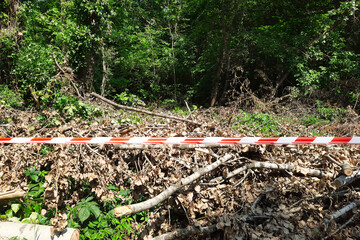 Caution tape against background of trees and dry bushes . White-red ribbon prohibits entry into of...