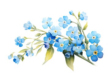 Forget Me Not