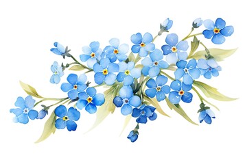 Forget Me Not