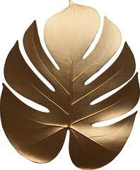 Isolated golden plant leaves