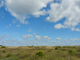 Obraz premium Ameland in der Nordsee
