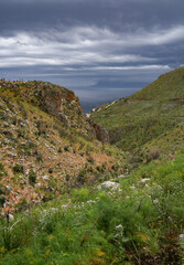 Sea landscape from coastline trail of Zingaro Nature Reserve Park between San Vito lo Capo and Scopello Trapani province, Sicily, Italy