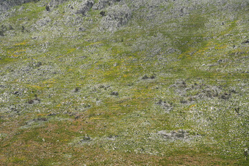 Sea landscape from coastline trail of Zingaro Nature Reserve Park between San Vito lo Capo and Scopello Trapani province, Sicily, Italy	
