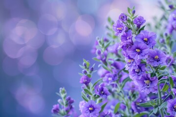 Obraz premium Beautiful Blooming Angelonia on Branch. Botanical Blue Blossom Amidst Lush Background