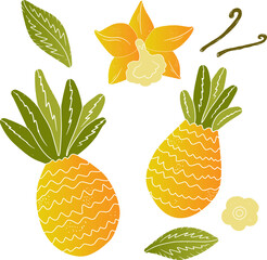 Gradient Pineapples. Tropical exotic set. Texture vector elements