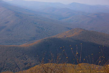 landscape in the morning