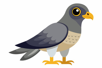 goshawk cartoon vector illustration