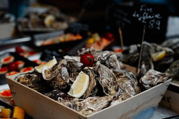 Oysters for appetizer cocktails.