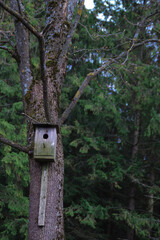 birdhouse on tree