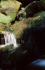 waterfall in the forest