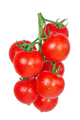 Branch with ripe tomatoes. Red tomatoes isolate on a white background. Vegetables.