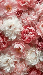 Pink and White Flowers in a Bunch