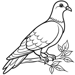 line art of a pigeon, white background