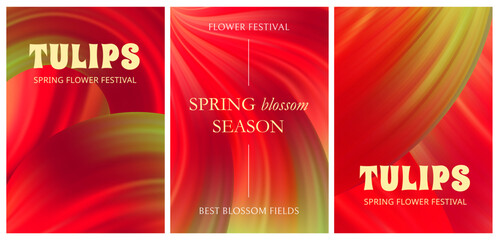 Tulip Festival Spring Poster. Vector Abstract Backgrounds with Red and Yellow Tulip Petals