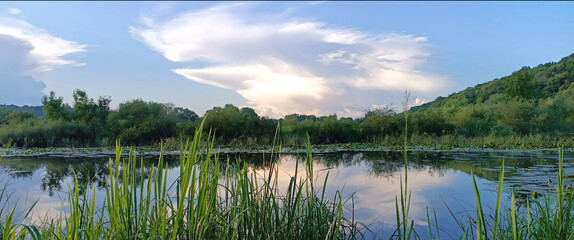 reflection of trees in the lake