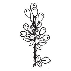 Wildflowers svg, Floral svg, Wild flower svg, flower sketch svg, Bouquet svg bundle, minimalist bouquet svg, botanical svg, field plants svg, floral leaves svg, branches svg, Bouquet svg