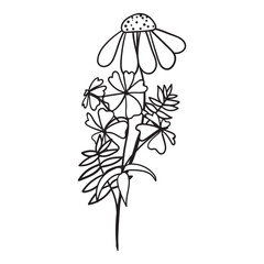 Wildflowers svg, Floral svg, Wild flower svg, flower sketch svg, Bouquet svg bundle, minimalist bouquet svg, botanical svg, field plants svg, floral leaves svg, branches svg, Bouquet svg