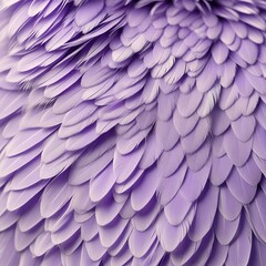 Obraz premium layered arrangement of purple feathers. concepts: backgrounds, fashion and textiles, fabric designs, scarves or clothing patterns, home decor items, makeup advertisements, beauty product packaging