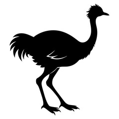 Emu bird vector silhouette, black color silhouette, white background (14)