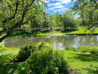lake in the park