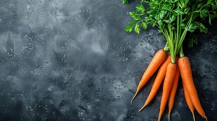 Bunch of fresh carrots with green tops, lying on textured dark grey background, orange color. Empty...