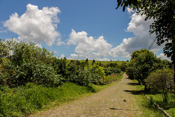 Foto de paisagem horizonte de campo com e árvores e estrada dia bonito céu azul com nuvens