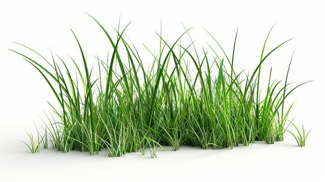 Grass - 3d model - 123rf.