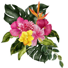 Watercolor hand draw tropical bouquet, exotical flowers, tropic butterfly, isolated on transparent background © марина васильева