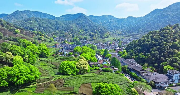 Aerial shot of tea plantation mountains with villages in spring