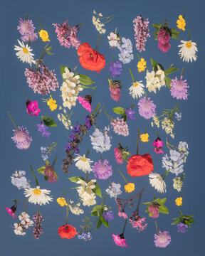 seamless pattern with colorful wild flowers on mirror with blue sky