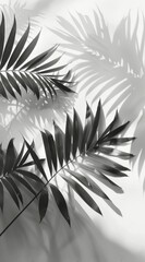 Shadows of Leaves on Wall