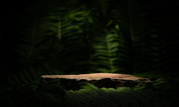 stones and plants for the podium product presentation. natural orange stones with texture on a background of green fern leaves for the podium presentation of products cosmetics medicine jewelry perfum
