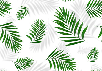 Seamless pattern of palm leaves with shadows