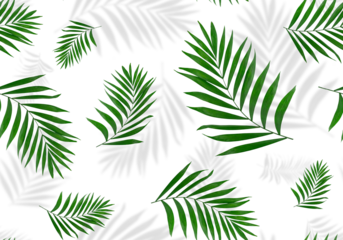 Seamless pattern of palm leaves with shadows