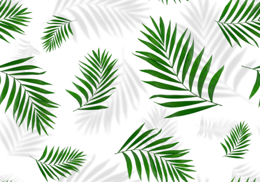 Seamless pattern of palm leaves with shadows