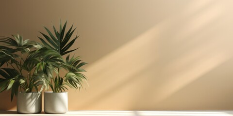 Two potted houseplants on a table against a warm, neutral-colored wall. Sunlight is streaming in from the right, casting shadows on the wall
