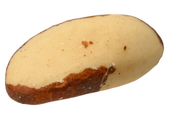 Brazil nut on isolated background