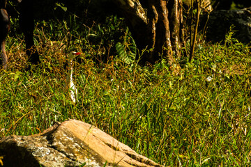 naturaleza © Guillermo