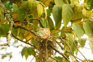 naturaleza © Guillermo