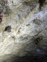 Bat cave. Deep underground. bats